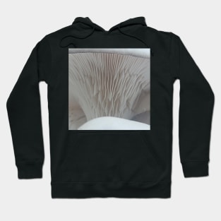 Oyster Mushroom Gills #2 Hoodie